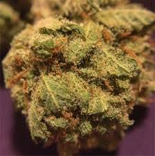 Weed ( jack herer)