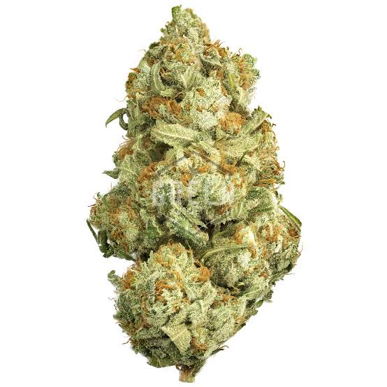 Weed ( White widow )